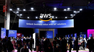 Amazon construir&aacute; en Alemania una "nube soberana" europea de datos