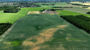 El norte de Europa tambi&eacute;n sufre los estragos de la sequ&iacute;a