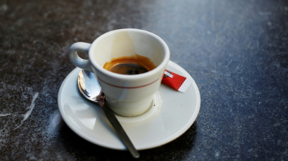 Ernteausfälle in den Anbauländern: Bohnenkaffee deutlich teurer als im Vorjahr