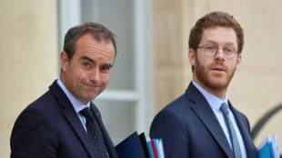 Fonction publique: un assistant IA pour tous les agents de l'Etat