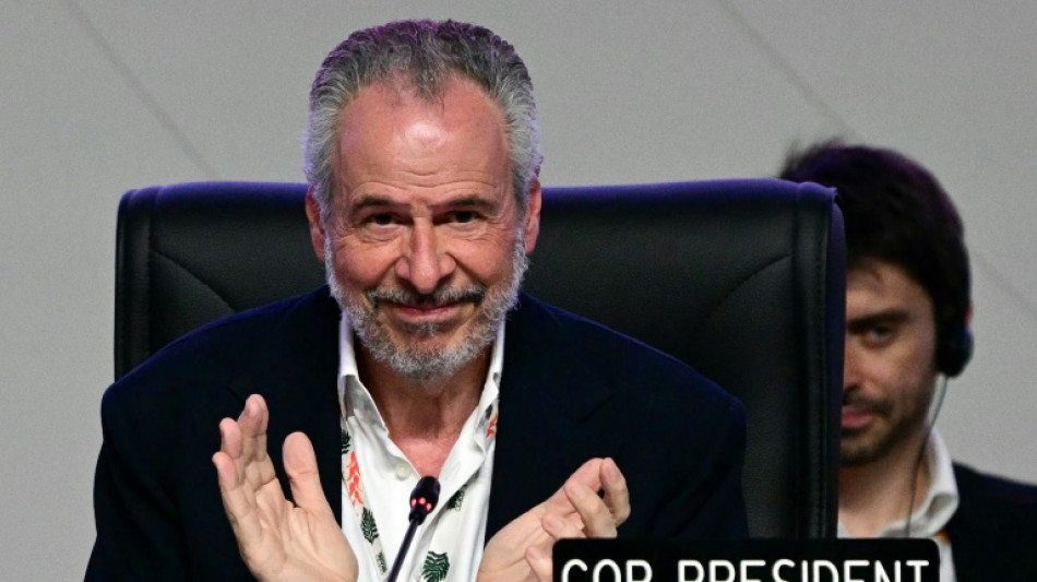 En Amazonie, le monde se contente d'une preuve de vie de la coop&eacute;ration climatique