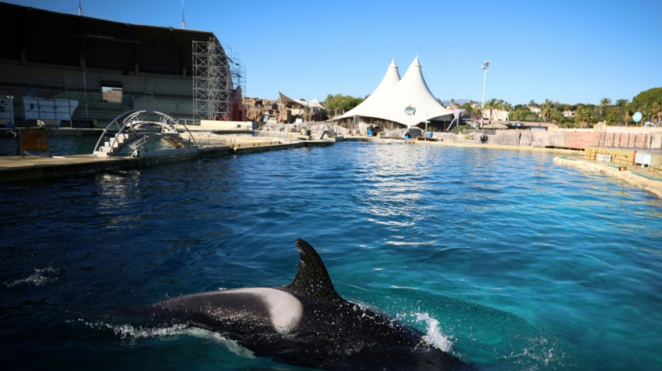 Marineland: un rapport d'expertise alerte sur l'&eacute;tat du bassin des orques