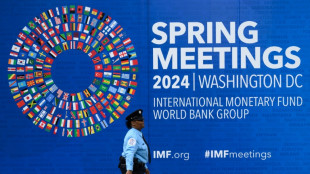 El FMI considera que el "gran a&ntilde;o electoral" llevar&aacute; a aumentos del gasto p&uacute;blico