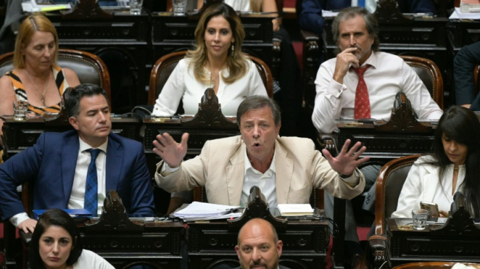 Reformas de Milei sofrem rev&eacute;s no Congresso por falta de apoio de aliados