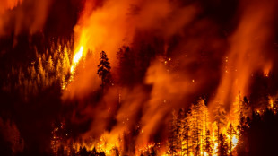 Des milliers de morts après les incendies géants au Canada en 2023, jusqu'en Europe