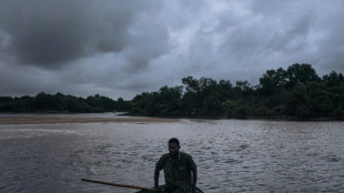 La deforestaci&oacute;n reduce las precipitaciones en zonas tropicales
