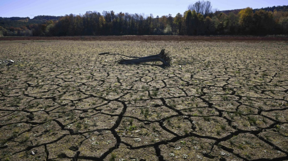 Las sequ&iacute;as de larga duraci&oacute;n ser&aacute;n la "nueva normalidad" clim&aacute;tica, advierte la ONU