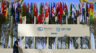 Lula y Carlos III piden en Dub&aacute;i un giro urgente en la lucha clim&aacute;tica