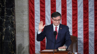 Republicanos eligen a un aliado de Trump como presidente de C&aacute;mara de Representantes