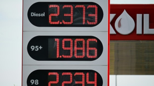 Treibstoffpreise: G7 geben bis zu 100 Millionen Barrel Diesel und Roh&ouml;l frei 