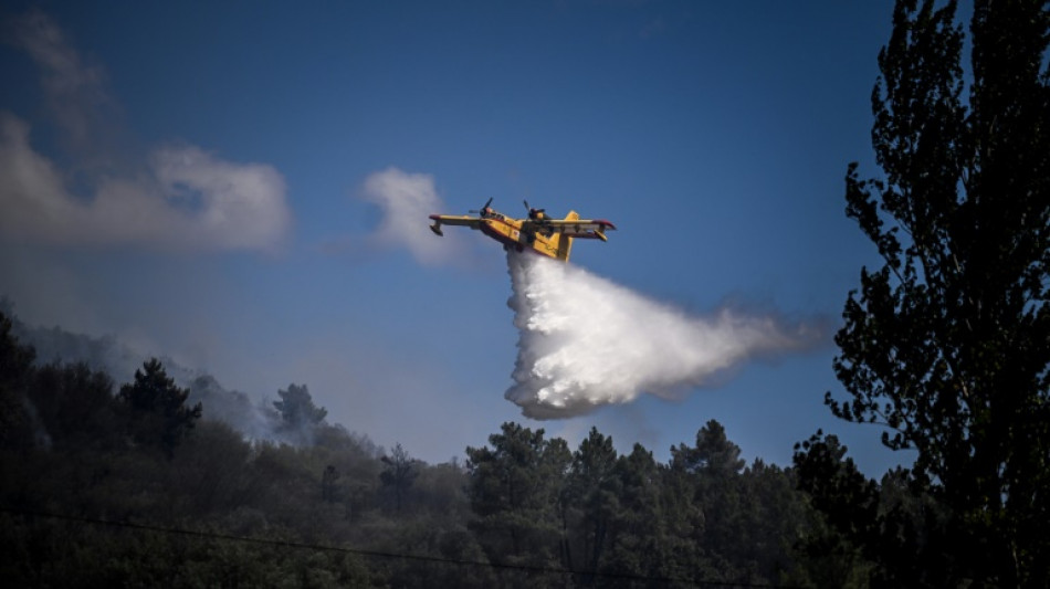 Portugal: plus de 100.000 hectares br&ucirc;l&eacute;s par les feux de for&ecirc;t cette ann&eacute;e