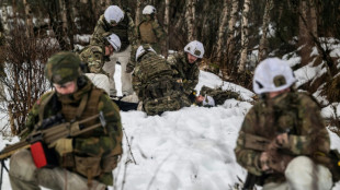 Verteidigungsausgaben: Sieben Nato-Staaten bei mehr als drei Prozent des BIP