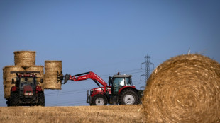 El PIB del cuarto trimestre de 2022 cerr&oacute; estable en la eurozona