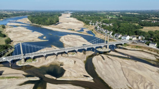 Canicules et s&eacute;cheresse co&ucirc;teront 0,1 point de croissance cette ann&eacute;e