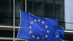 Un tribunal de la UE desestima la apelaci&oacute;n de Venezuela contra las sanciones