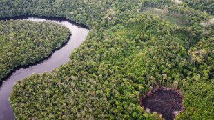El responsable del organismo de control de objetivos clim&aacute;ticos empresariales dimite tras una pol&eacute;mica