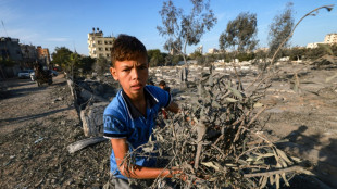 Decenas de tanques israel&iacute;es entran en el sur de la Franja de Gaza