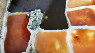 El comercio ancestral de sal busca un futuro en el S&aacute;hara de N&iacute;ger