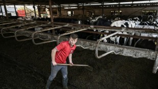 La inflaci&oacute;n de la eurozona da un respiro despu&eacute;s de 17 meses, pero sigue elevada