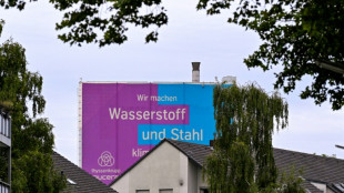 Bundesrechnungshof sieht massive Risiken bei Wasserstoffstrategie des Bundes