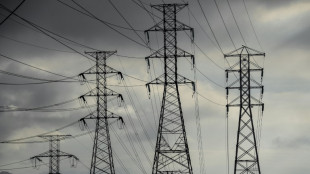 El gobierno brasile&ntilde;o pide una investigaci&oacute;n por un apag&oacute;n el&eacute;ctrico