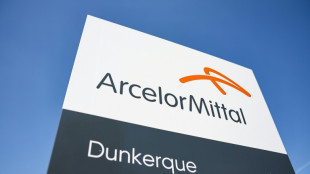 Macron &agrave; ArcelorMittal Dunkerque pour soutenir un "investissement massif" pour la d&eacute;carbonation