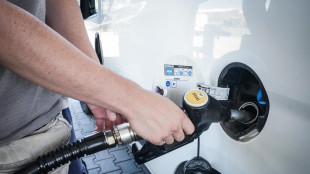 Scende il prezzo del gasolio, in rialzo la benzina
