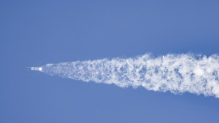 SpaceX crolla di oltre il 12% al Nasdaq sul boom della spesa per l'IA