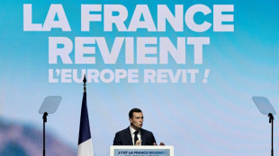 At&eacute; onde pode ir a extrema direita no Parlamento Europeu?