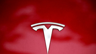 Umfrage: Gro&szlig;teil der E-Auto-Fahrer lehnt Tesla aus politischen Gr&uuml;nden ab