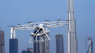Emiratos &Aacute;rabes promete un despliegue "responsable" de la inteligencia artificial 