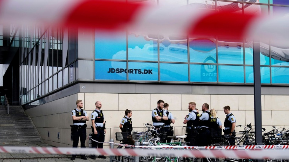 Fusillade de Copenhague: l'enqu&ecirc;te s'oriente vers l'&eacute;tat mental du tireur