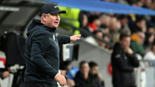 Slovenia looking for new coach after World Cup bid failure