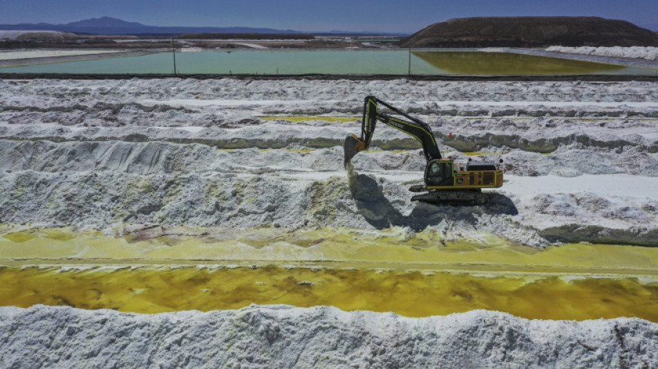 Chile espera desarrollar en dos a&ntilde;os hasta cinco nuevos proyectos de litio