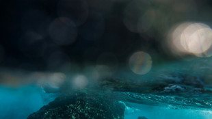 Einschränkung von Tiefseefischerei im Nordostatlantik: Spanische Klage erfolglos