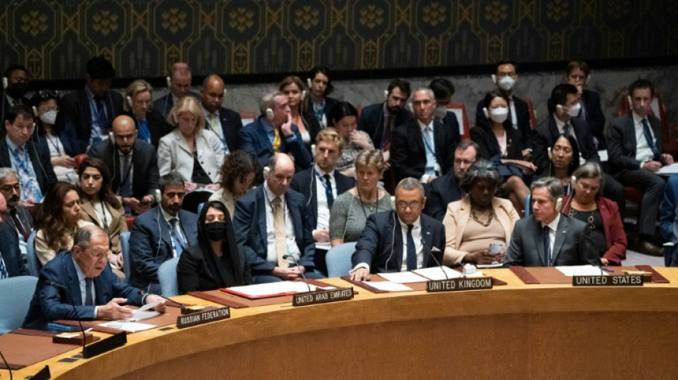 Coup de pouce de Biden &agrave; une r&eacute;forme improbable du Conseil de s&eacute;curit&eacute;