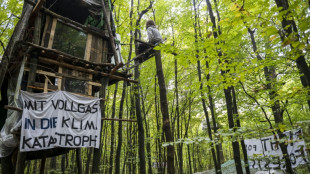 Urteil: Journalisten können für Räumungskosten von Protestcamp belangt werden