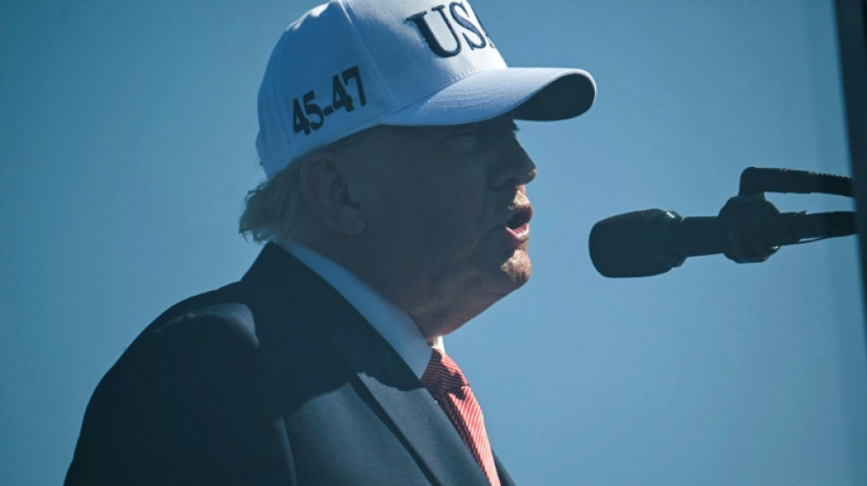 Alemanha adia conversa de chanceler com Trump ap&oacute;s elogios do americano ao partido AfD