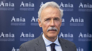 Liverani, 'Patto per un'Italia protetta e più forte'