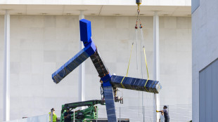 Ex presidente del Kennedy Center compra la scultura rimossa da Trump