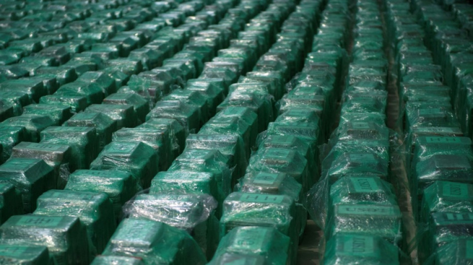 Desmantelada en Espa&ntilde;a una red de introducci&oacute;n de coca&iacute;na colombiana del cartel de los Balcanes