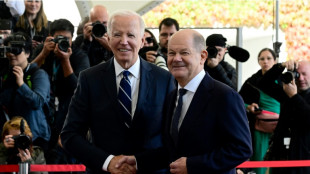 Biden y sus aliados europeos subrayan su determinaci&oacute;n de seguir apoyando a Ucrania
