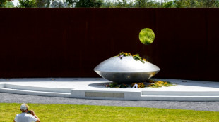 Rusia presenta apelación ante la CIJ para refutar su responsabilidad en derribo del vuelo MH17