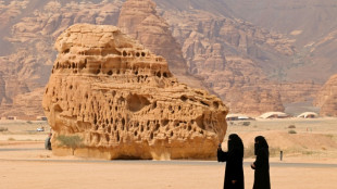 Una activista de derechos de la mujer, condenada a 11 a&ntilde;os de c&aacute;rcel en Arabia Saudita