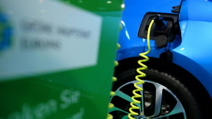 Las ventas de coches el&eacute;ctricos en Europa se estancan en el primer semestre