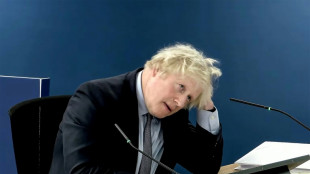 Boris Johnson pide perd&oacute;n por "el dolor y las p&eacute;rdidas" causados a las v&iacute;ctimas del covid