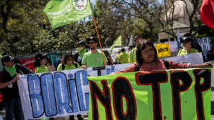 Chile env&iacute;a nota de ratificaci&oacute;n de su ingreso al acuerdo transpac&iacute;fico