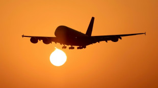 Las aerol&iacute;neas esperan un "r&eacute;cord hist&oacute;rico" de 4.700 millones de pasajeros en 2024