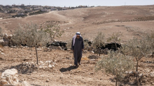 Israeli settlements close in on West Bank herding community