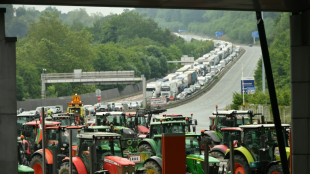 Agricultores levantan bloqueo en la frontera franco-espa&ntilde;ola